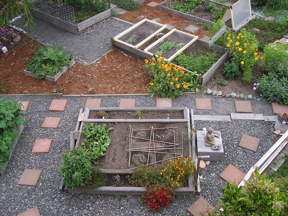 como fazer horta urbana