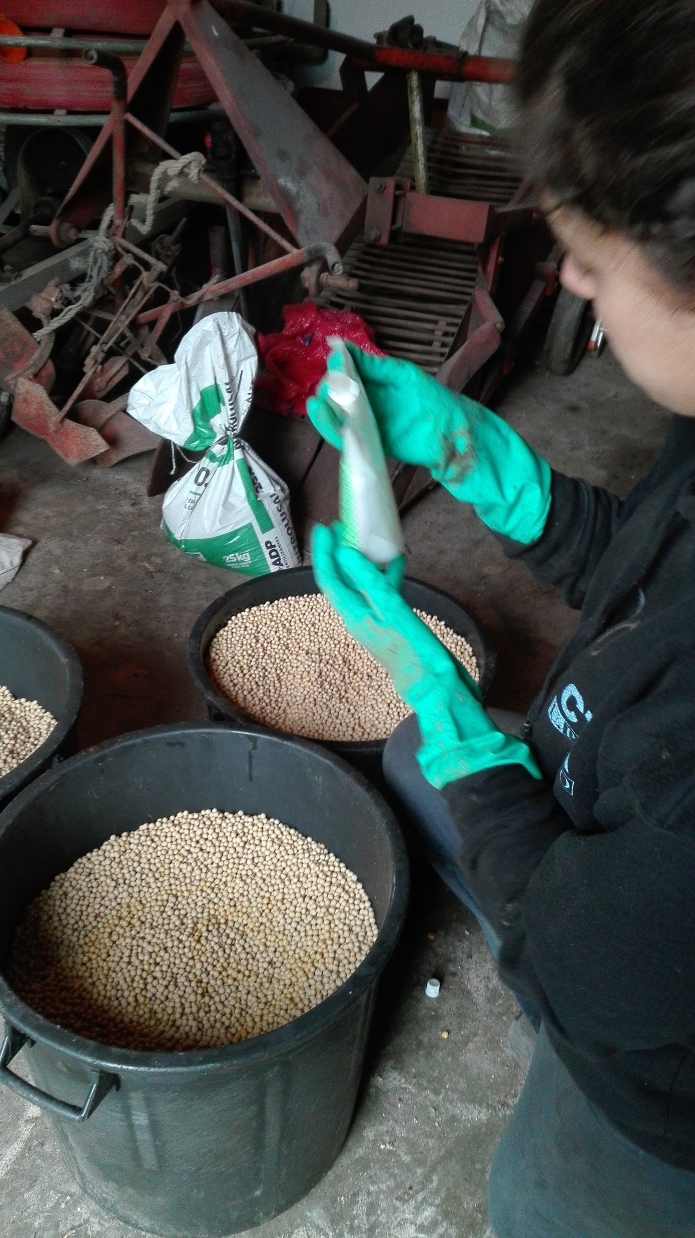 produção de soja em portugal- inoculação das sementes de soja