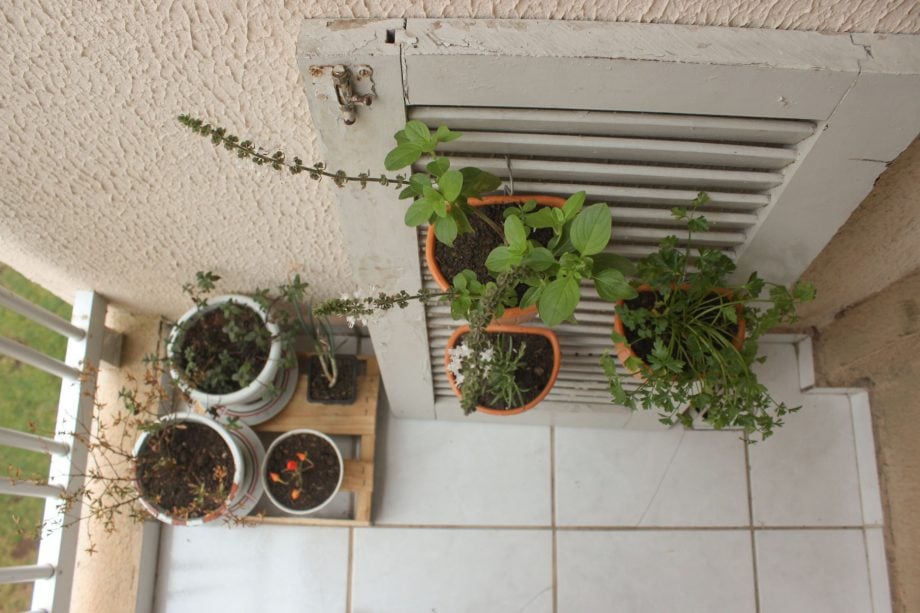 horta em apartamento