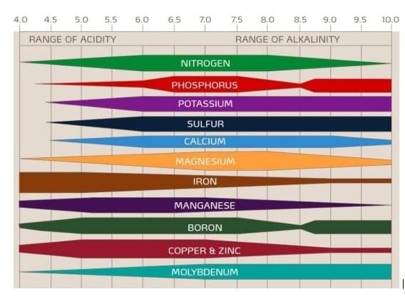 importância do pH no solo-gráfico