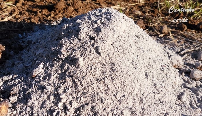 adubo caseiro para horta