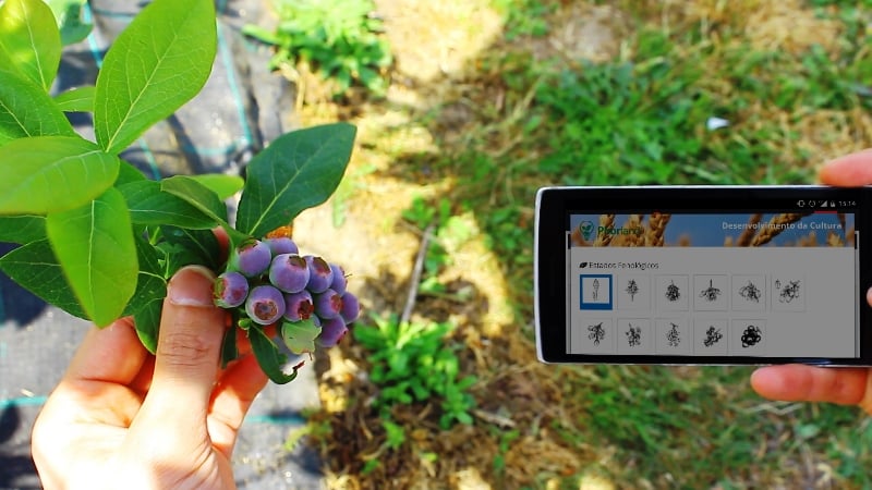  gestão agrícola software