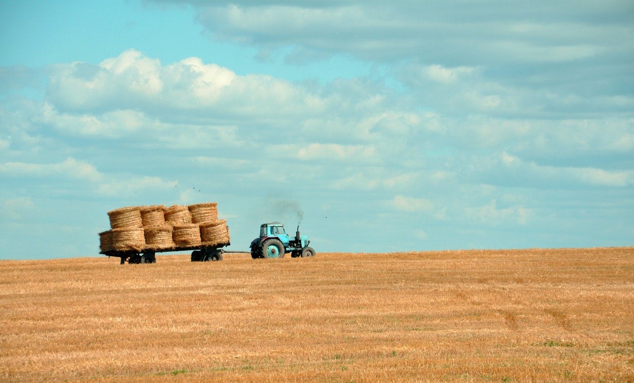  empresa agricola caracteristicas