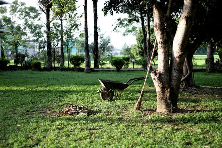green care agro tech