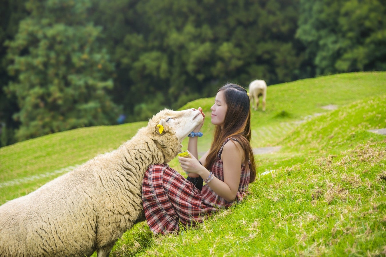 mulheres na agricultura