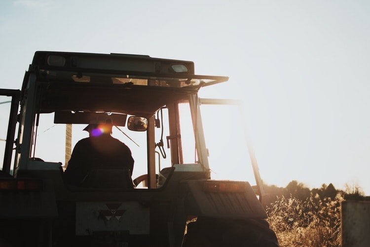 culturas agricolas mais lucrativas