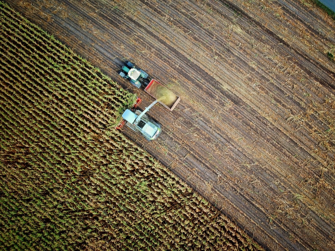agricultura  instalação de uma cultura agrícola