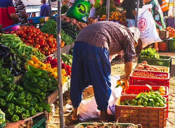 financiamento agrícola