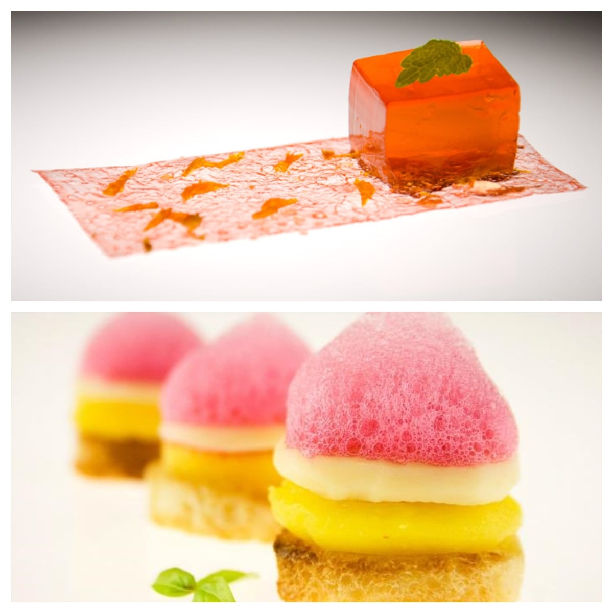 gastronomia molecular curso