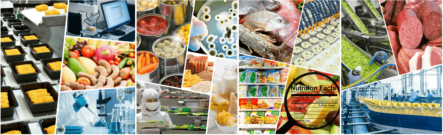 gastronomia molecular receitas