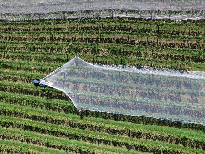 tecnologia na agricultura