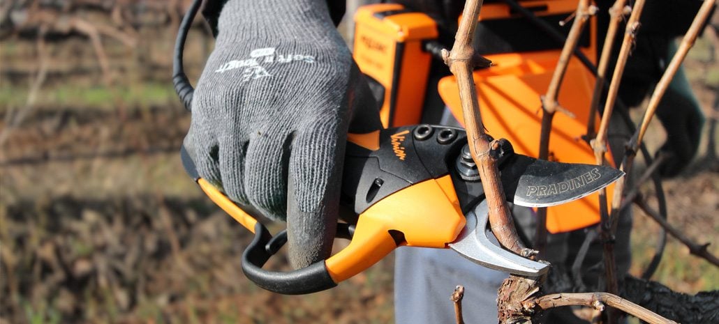 10 presentes para oferecer a um agricultor