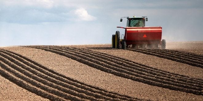politicas agricolas pdf