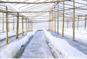 tipos de estufas agricolas pdf estufas tipo parral