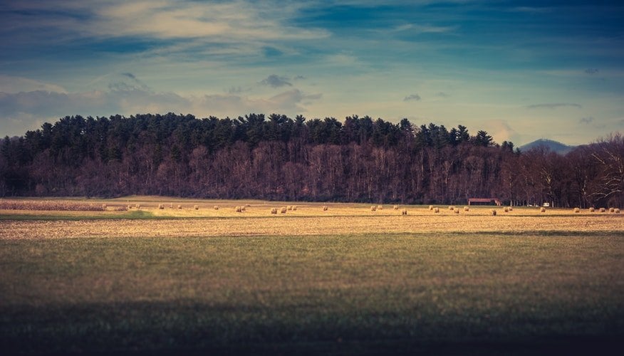 como avaliar um terreno agricola
