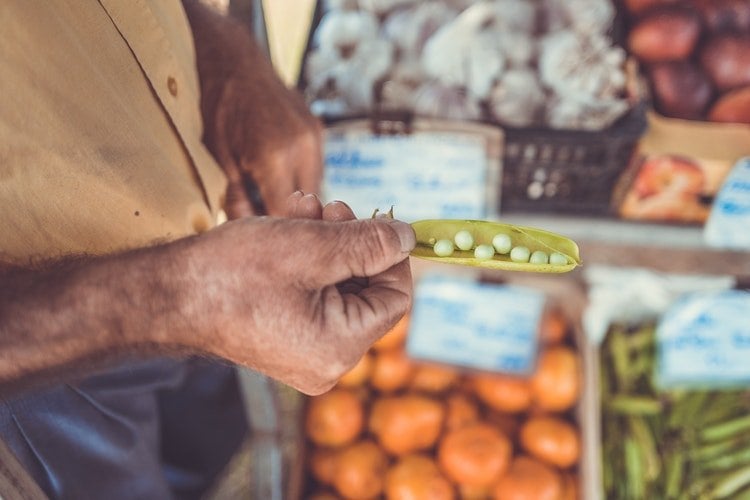  politicas agricolas nos paises desenvolvidos