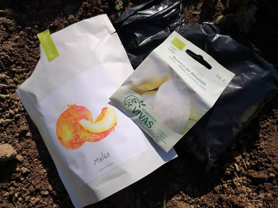 life in a bag horta