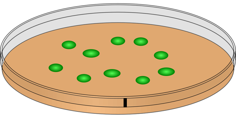 biotecnologia agrícola