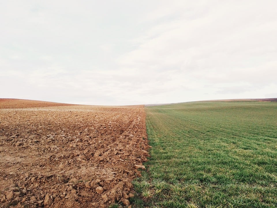 tecnologia agrícola e alimentar