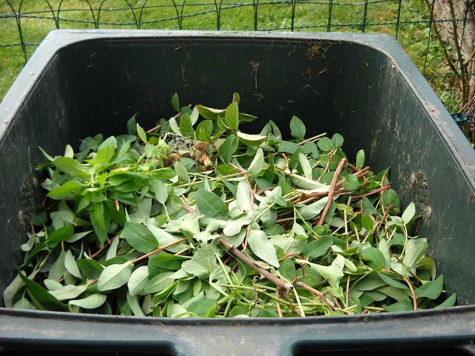 compostagem lipor
