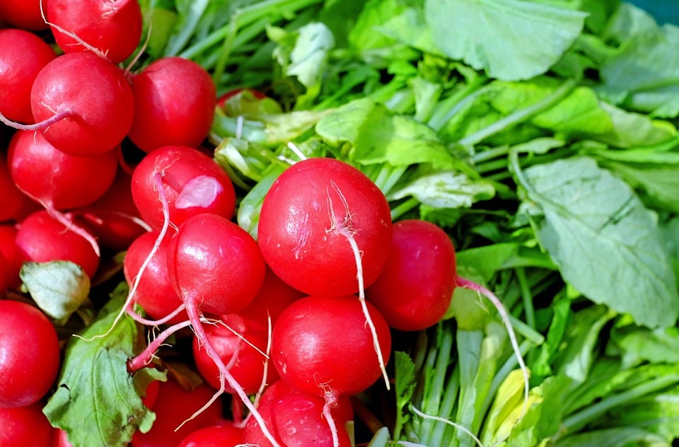 tecnologia agrícola e alimentar