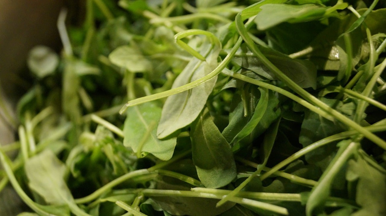investir na agricultura