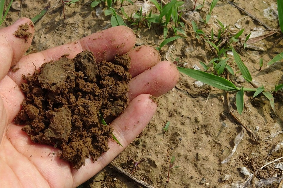  compostagem doméstica