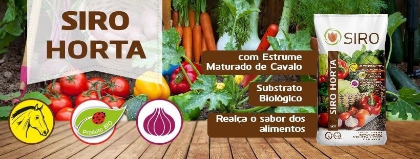 como fazer horta em vasos