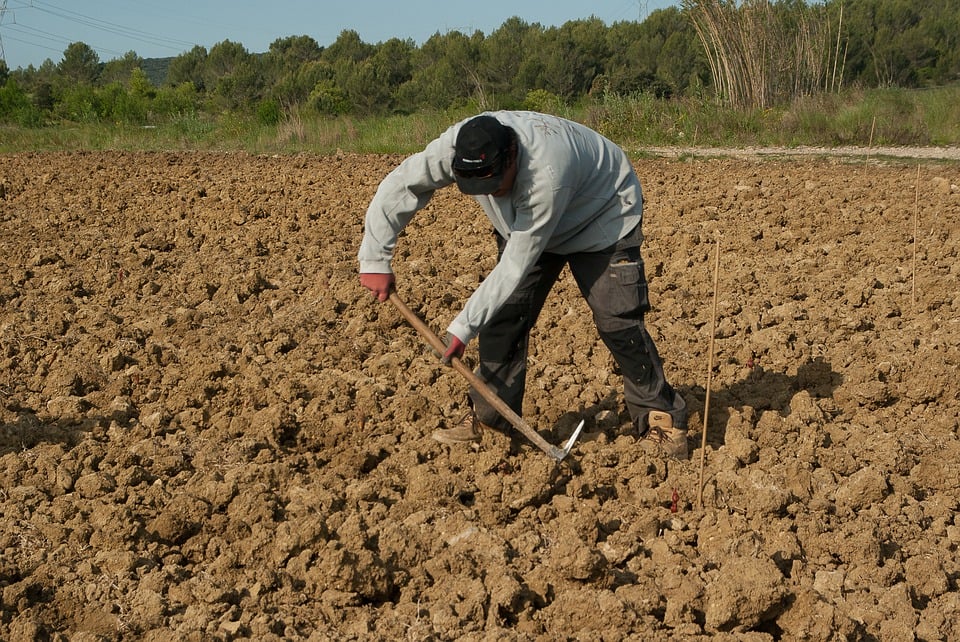 PDR 2020 jovem agricultor