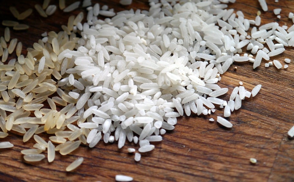 aprenda-a-eliminar-as-formigas-da-sua-horta