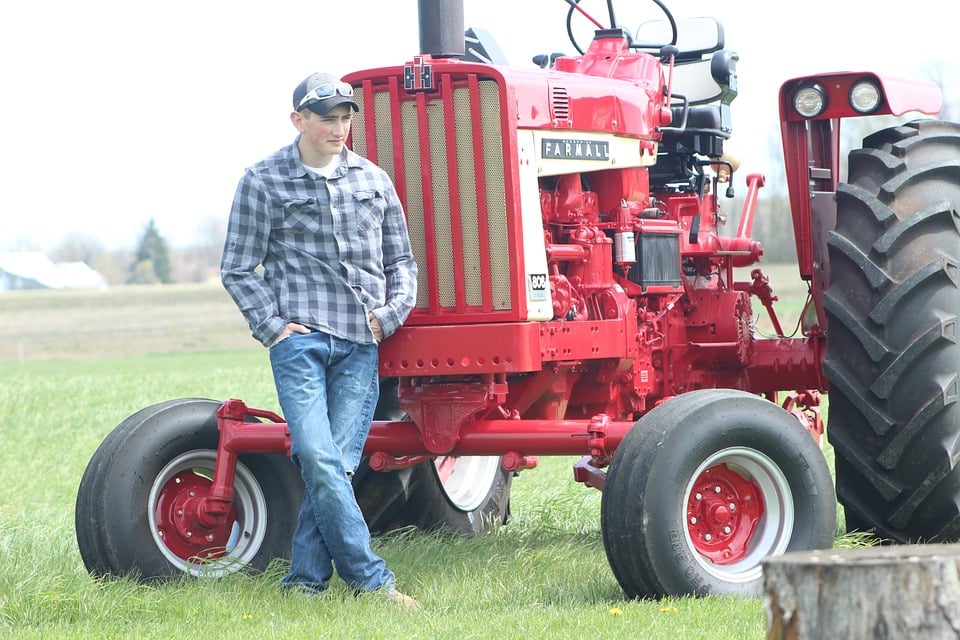 apoios jovem agricultor