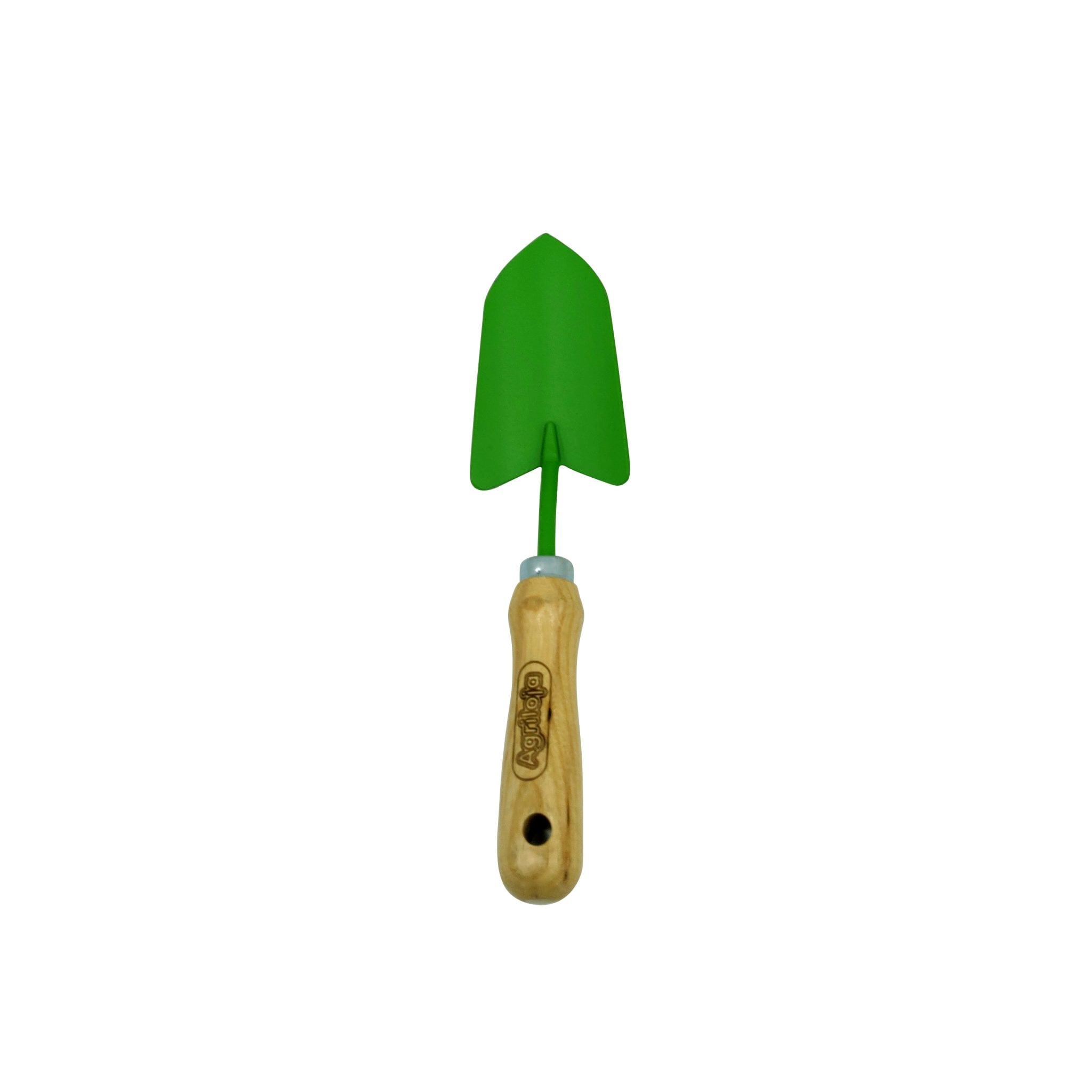 como reenvasar orquídeas