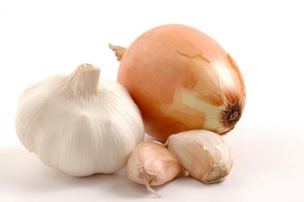 como acabar com piolho na horta