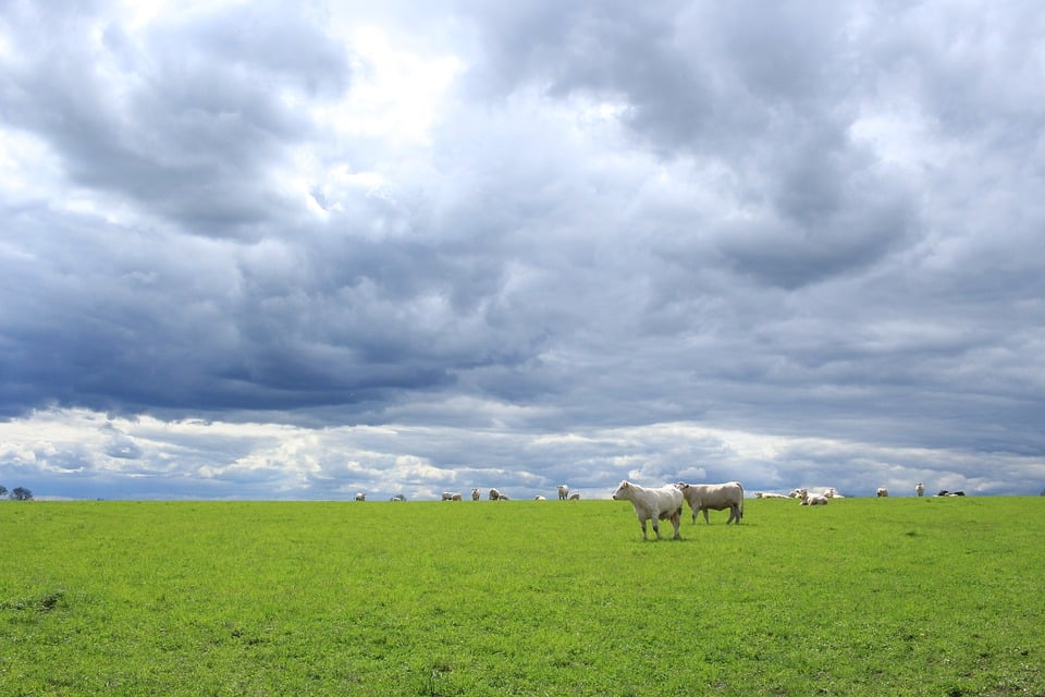 IVA na agricultura