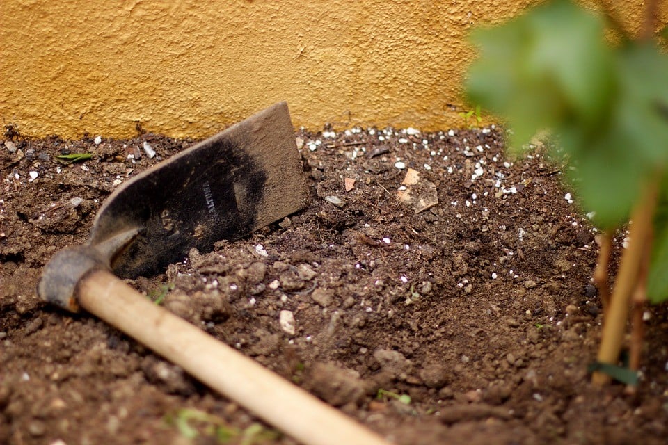 fertilidade de um terreno agrícola