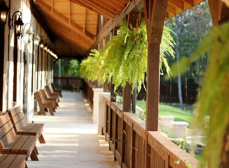 plantas de interior