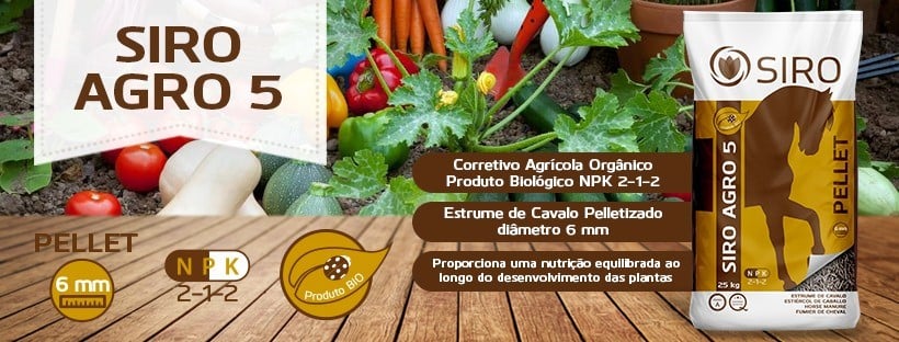 horta Outono