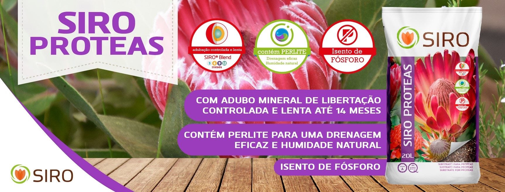 próteas