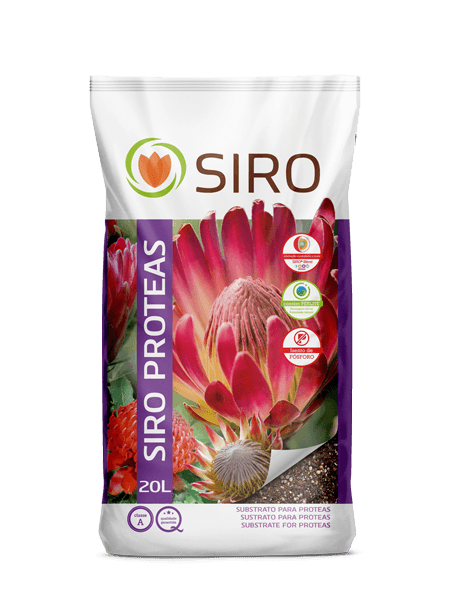 próteas