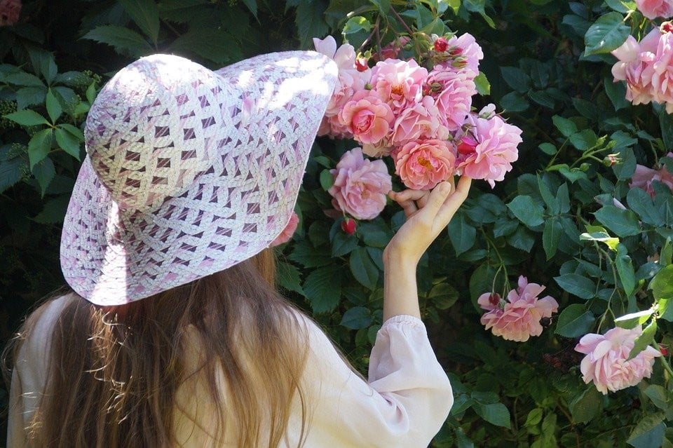 Menina, Chapéu, Rosa, Roseira, Young, Macio, Romance