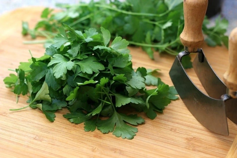 truques para cultivar salsa