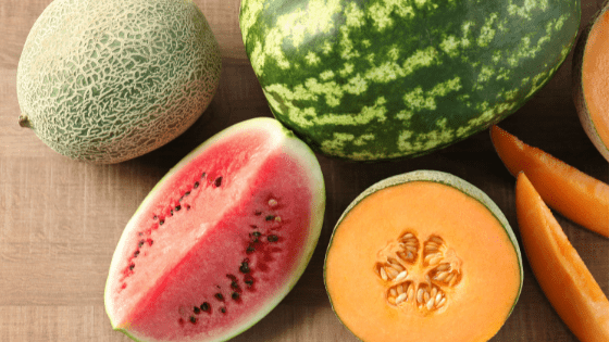 como cultivar melão