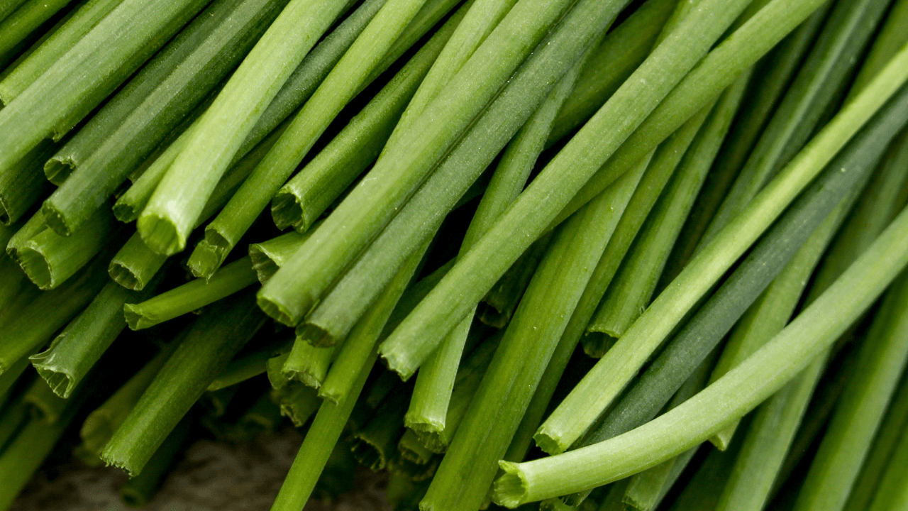 Cultivar ervas aromáticas em apartamento