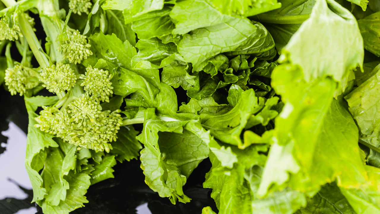 como cultivar grelos