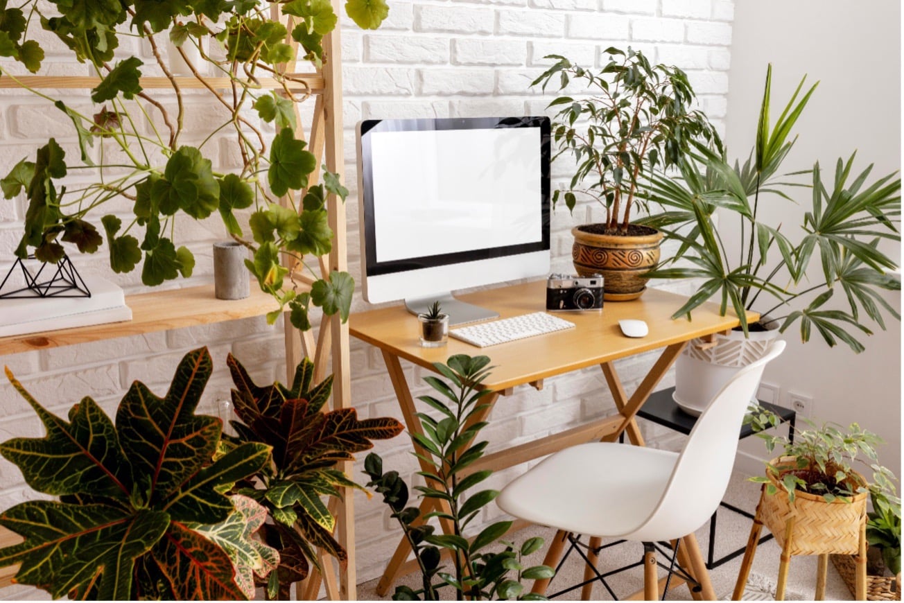 plantas para escritório