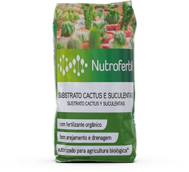substrato para cactos