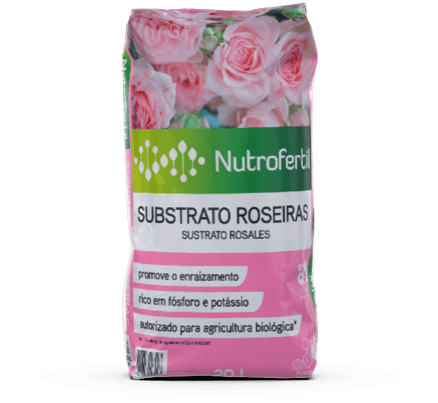substrato para roseiras