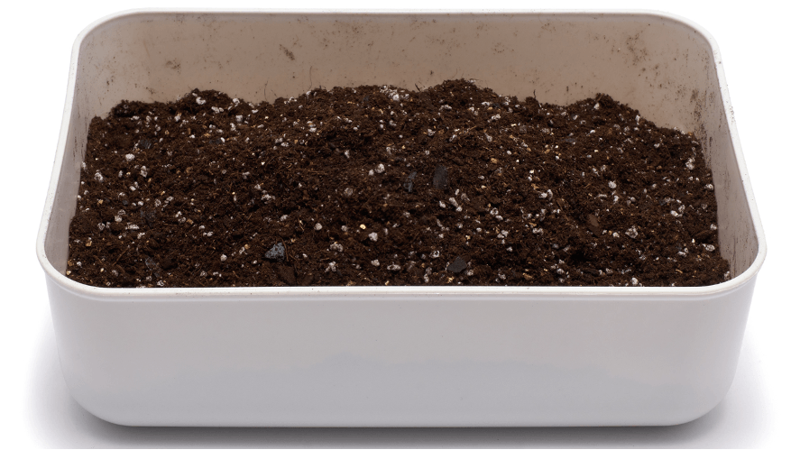 perlite