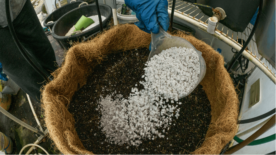perlite