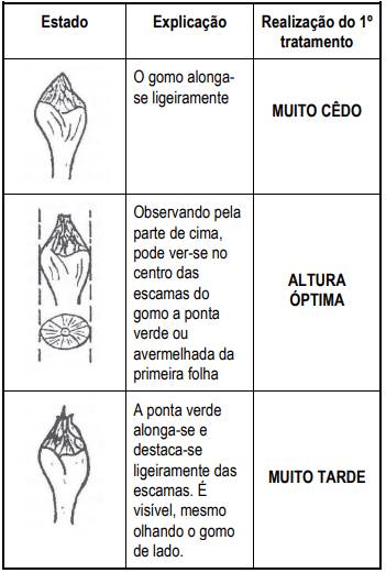 tratamentos lepra do pessegueiro